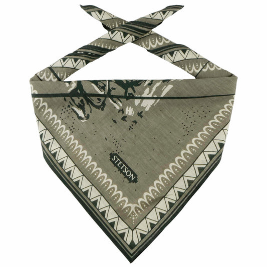 Stetson bandana